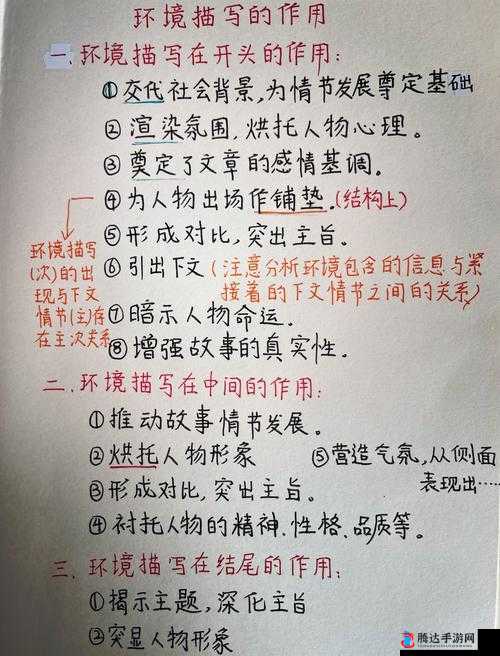 BBBB×ⅩⅩⅩ:探寻其背后的深层奥秘与价值意义