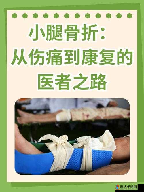 起来还在 C 骨科:探索先进医疗技术与康复之路