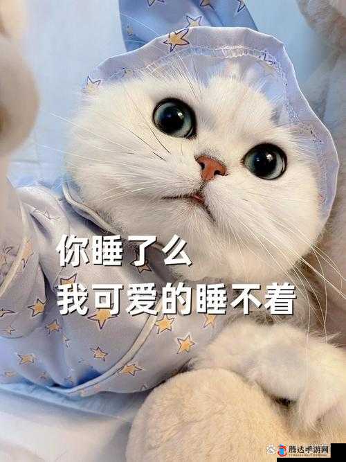 晚上睡不着偷偷看 B 站,沉浸在精彩世界无法自拔