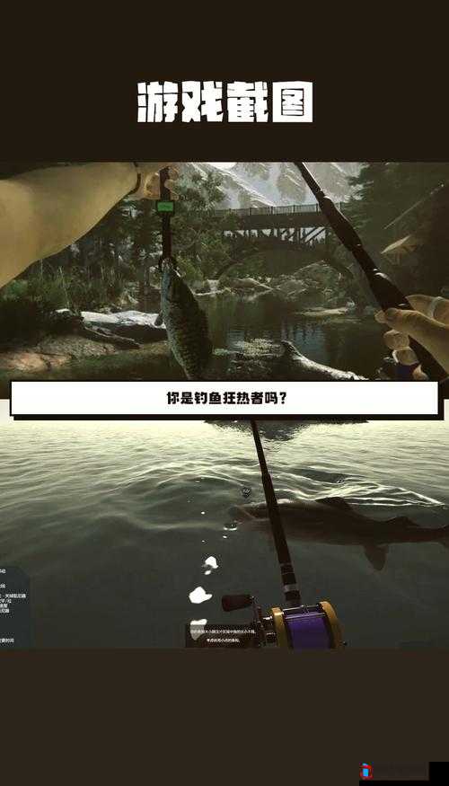 终极钓鱼模拟器金头鲷怎么钓,详细方法介绍