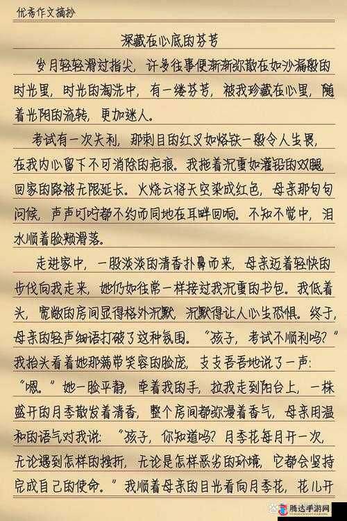 品味母爱的芬芳:在岁月长河中感受那份深沉与温暖