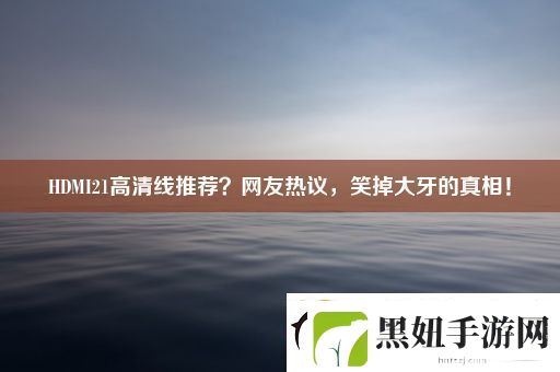 HDMI21高清线推荐