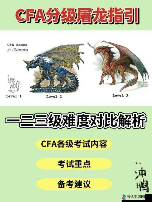CFA 一级与三级的区别在哪:全面深度解析与对比