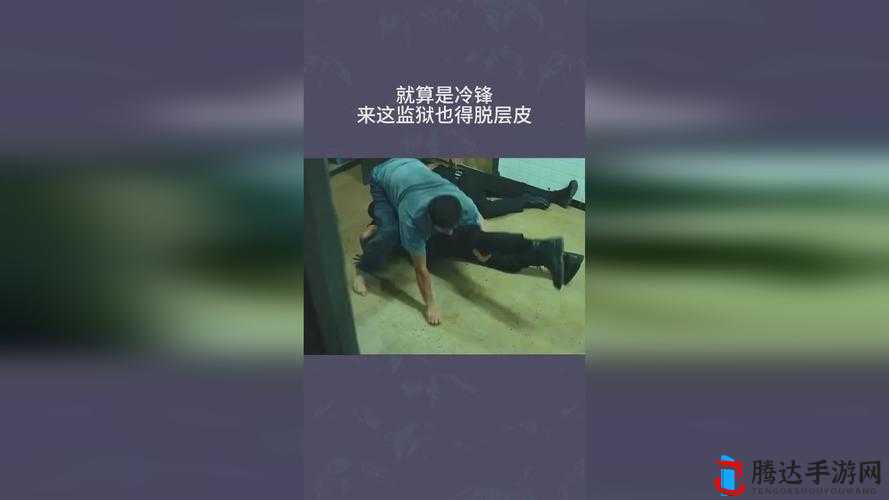 拨萝卜不盖被子:一场充满童趣与想象的奇妙经历