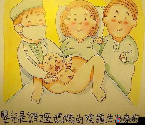 拔萝卜生猴子不盖被子:一个充满奇思妙想的故事场景