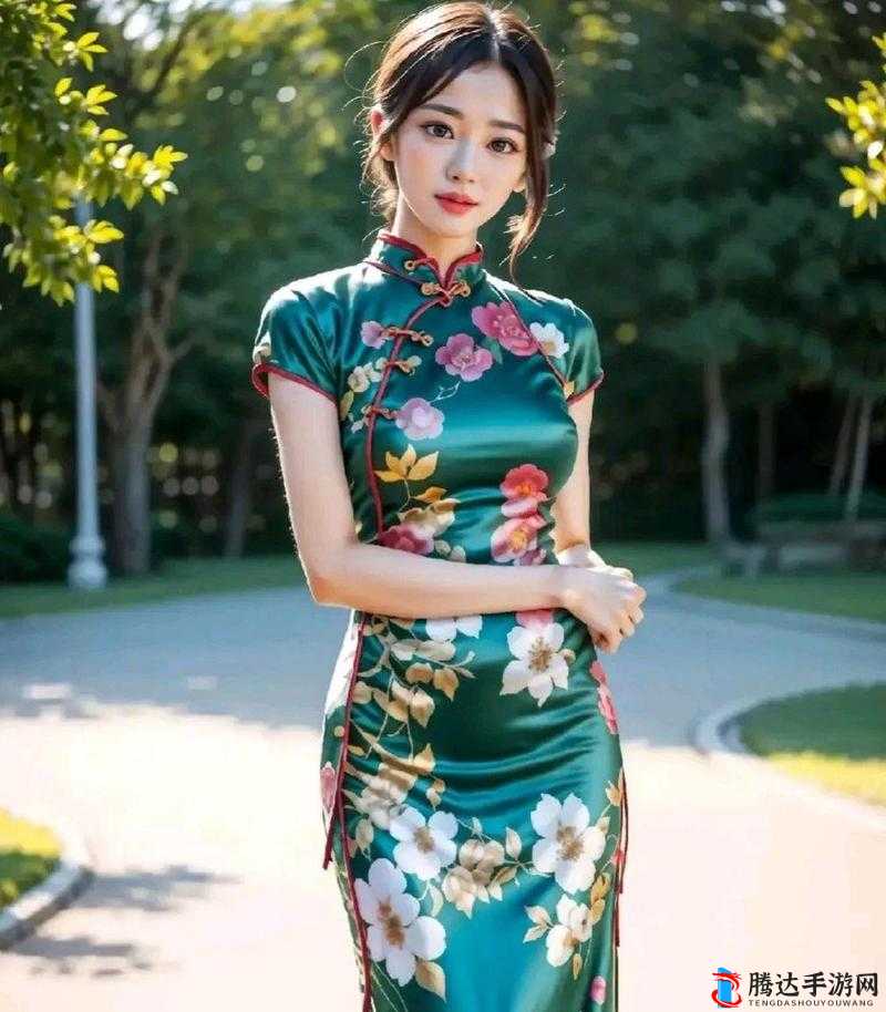 MD0020 赵佳美国风旗袍:展现传统魅力的精美服饰