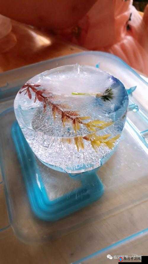 啊~你tm别了含羞草:探究其背后的奇特现象