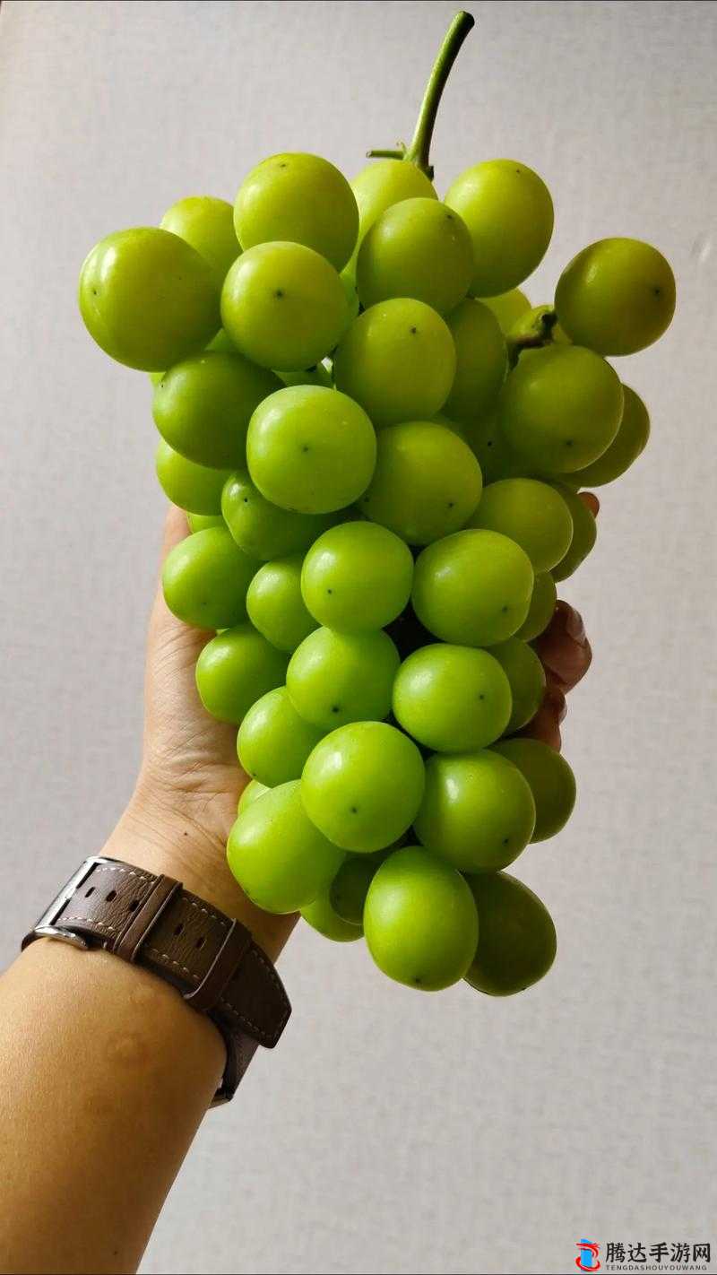 葡萄不准掉出来晚上检查:确保遵守规定严格执行