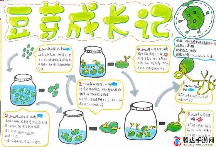 嫩草研究:探索生命成长的奥秘