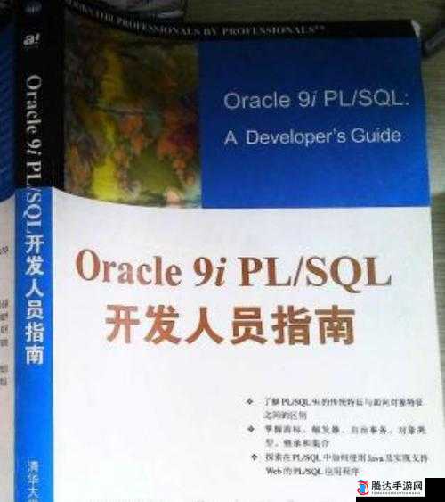 9I 免费版究竟该如何下载详细指南