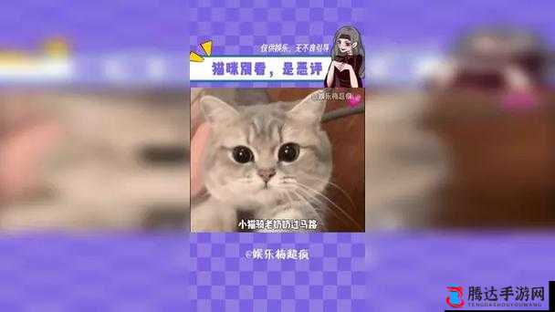 呱呱呱视频在线观看：海量精彩视频资源等你来发现