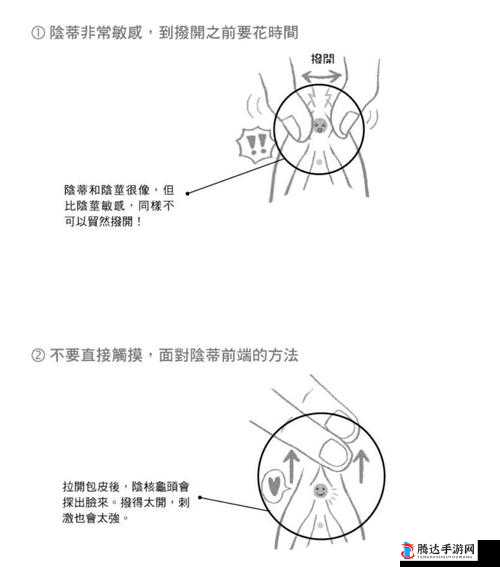 揉豆豆基础手法教学:让你轻松掌握的私密技巧