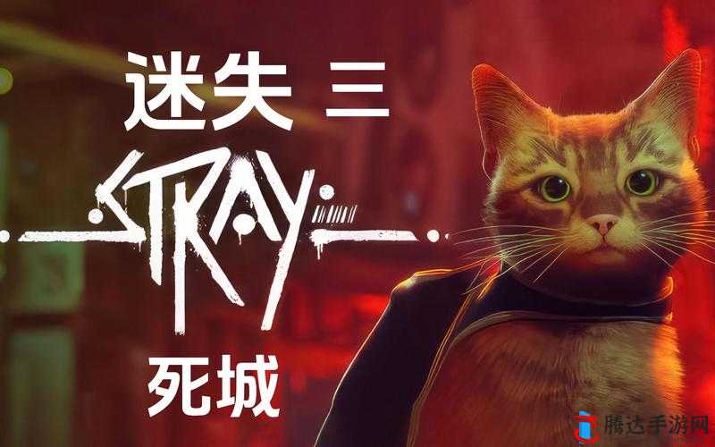 迷失(Stray)是一款深受玩家喜爱的游戏,其中看喵的这一成就尤为特别,它不仅考验玩家的操作技巧,还充满了趣味性和探索性。下面,我们就来详细介绍一下如何完成这一成就。