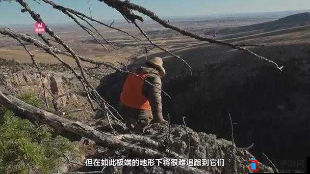 猎人荒野的召唤,当尸体消失于无垠的荒野