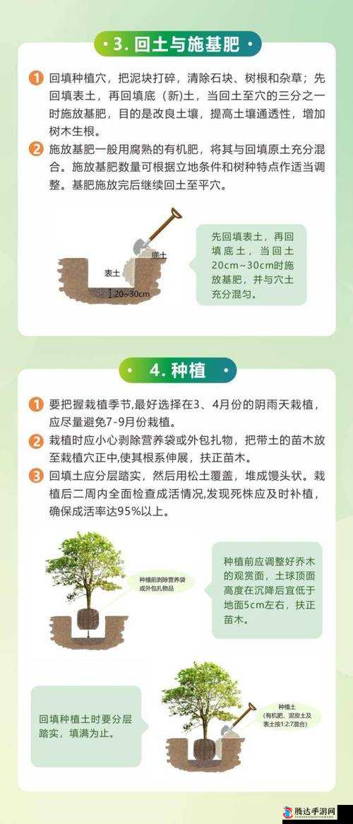 最远的边陲快速种树与批量种树技巧
