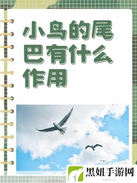 变大变粗的方法:1. 通过变化与膨胀探索创意的新领域
