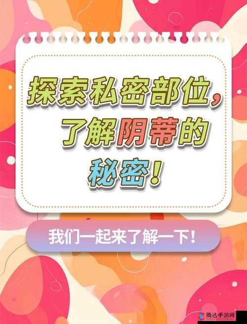 探索女性私密之美:下部欣赏 asSddw 的艺术与魅力