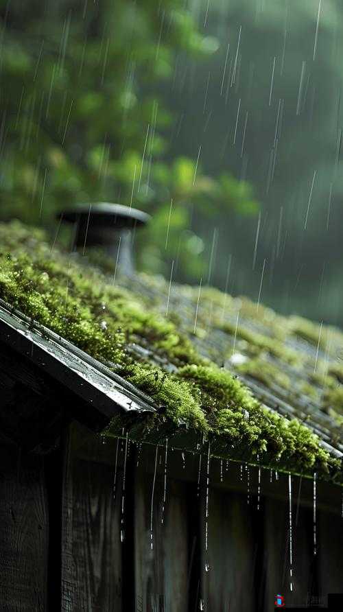 填得很满感觉春雨回答:探寻春雨背后的满满思绪