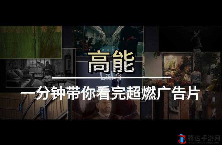 精品视频密麻豆入口:打造极致视觉盛宴