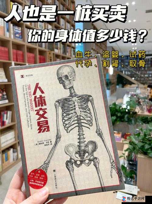 超大型日本人体型引发的一系列故事探讨