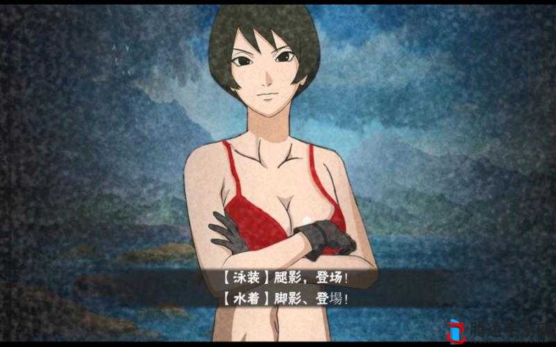 以成人漫画为主题，观看黑土同人漫画的人占比较高