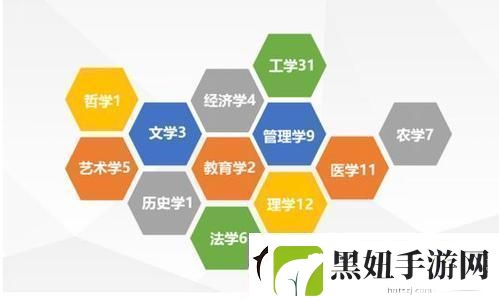 一级理论与二级理论