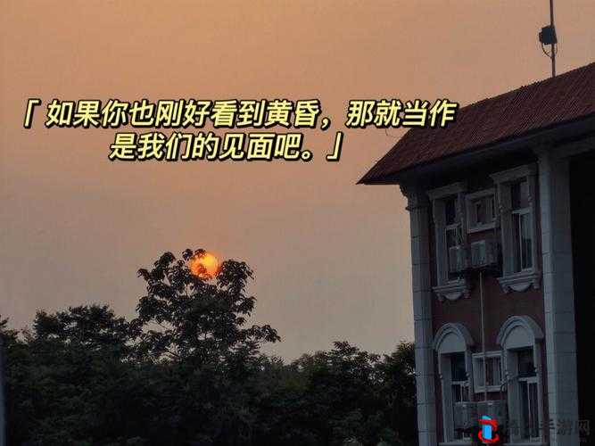 黄昏降临时直接了当成就解锁秘籍,高效行动,智取胜利