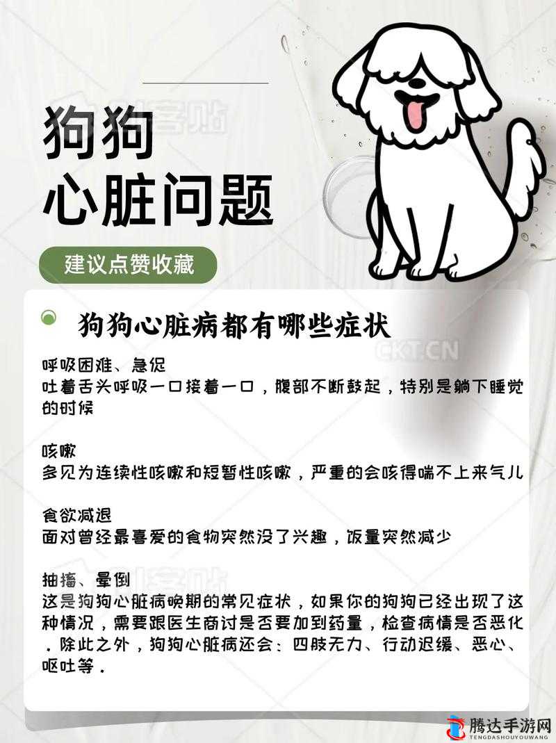 狗狗配人后几天不疼的解决方法:给狗狗提供舒适的休息环境,避免过度运动和受到外界刺激