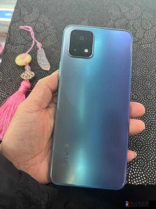 成色好的 y31 标准:全面了解其特点和优势