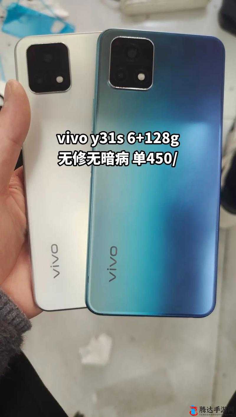 成色好的 Y31-展现卓越品质引领时尚潮流之选