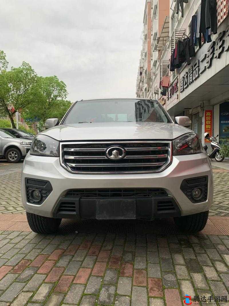 497799 欧洲版国产 SUV 高清质量究竟如何