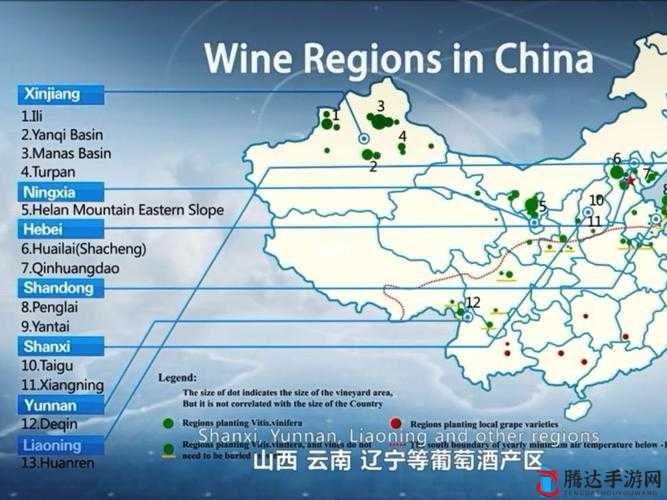 99 精产国品一二三产区区别:探索不同产地的独特魅力