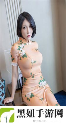 日产MV和欧美MV的外观对比：从视觉风格到细节设计，日产MV与欧美MV的外观对比探讨