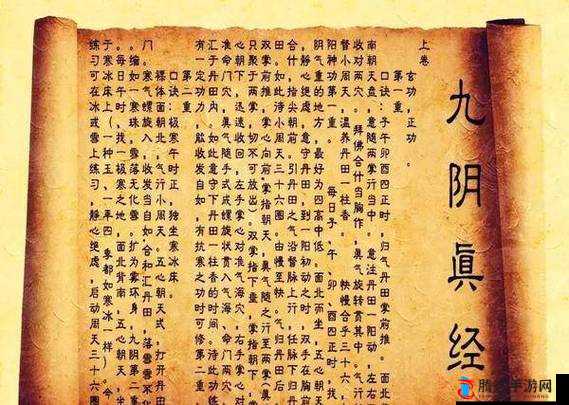 揭秘江湖十一北冥心法,探寻绝世武学的奥秘