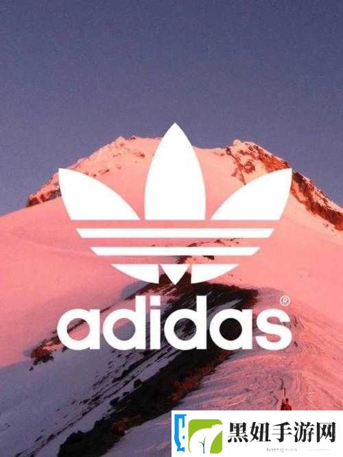 三叶草