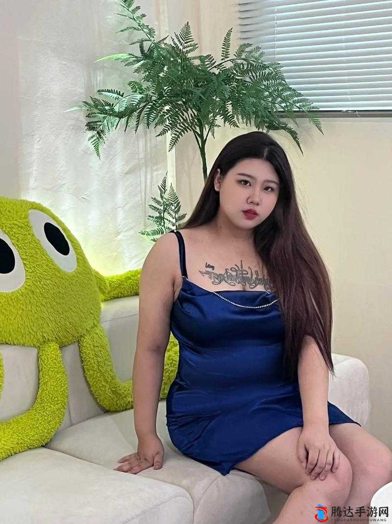 胖老太 BBWBBWBBW:一位可爱而有趣的角色