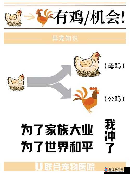矮人要塞母鸡怎么下蛋,母鸡下蛋攻略