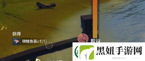 妄想山海锦鲤鱼苗在哪