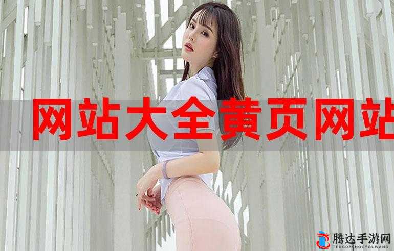 国外 B 站黄页推广:开启全球精彩内容之旅