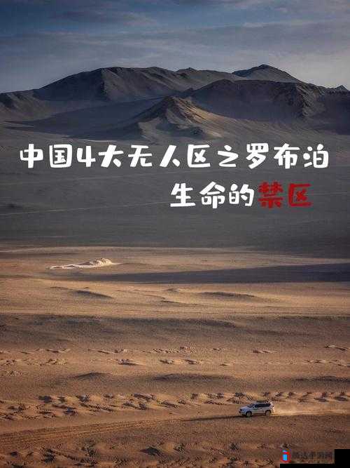 99 无人区码一码二码三码四:探索其神秘之处与潜在价值