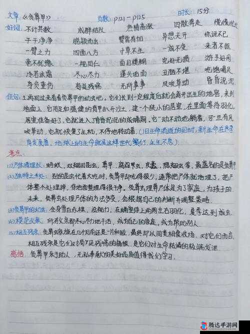 珊瑚岛探险记,昆虫捕捉技巧大揭秘