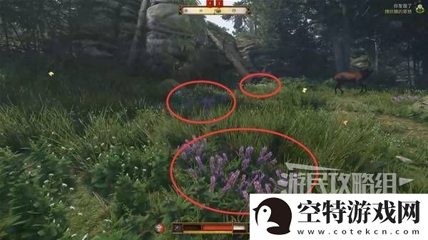 天国拯救2图文攻略大全