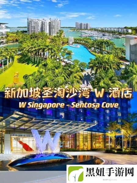 欧美无线一线二线三w955:1. 欧美无线一线二线三W955的全新应用探索