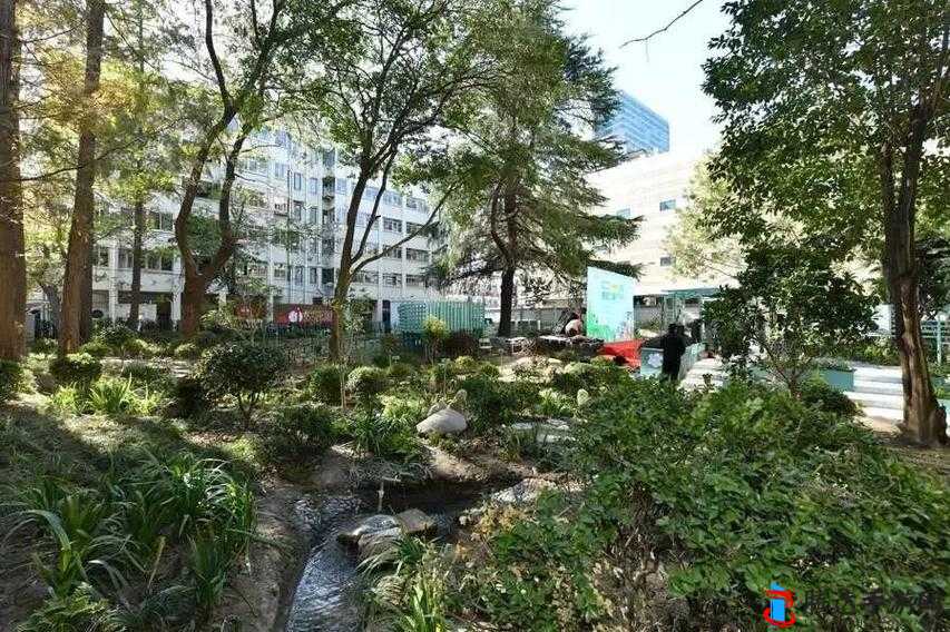 草碧一区:一个充满温馨与活力的美好社区