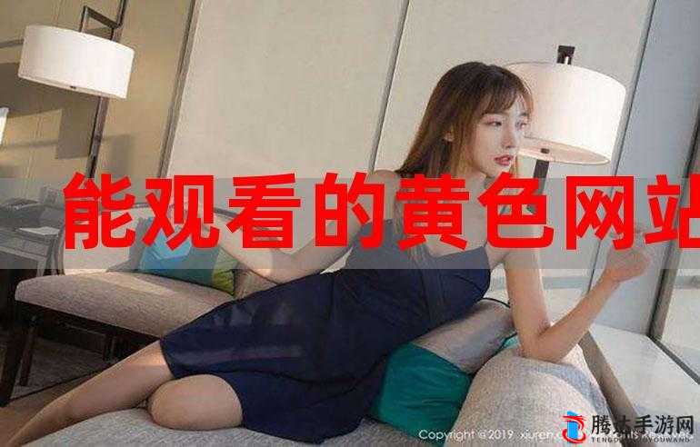 日韩黄色二级:探讨成人影片对社会的影响