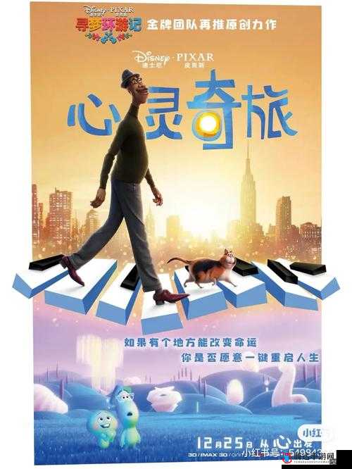 我和公交车上的女人:一段充满意外和惊喜的相遇之旅
