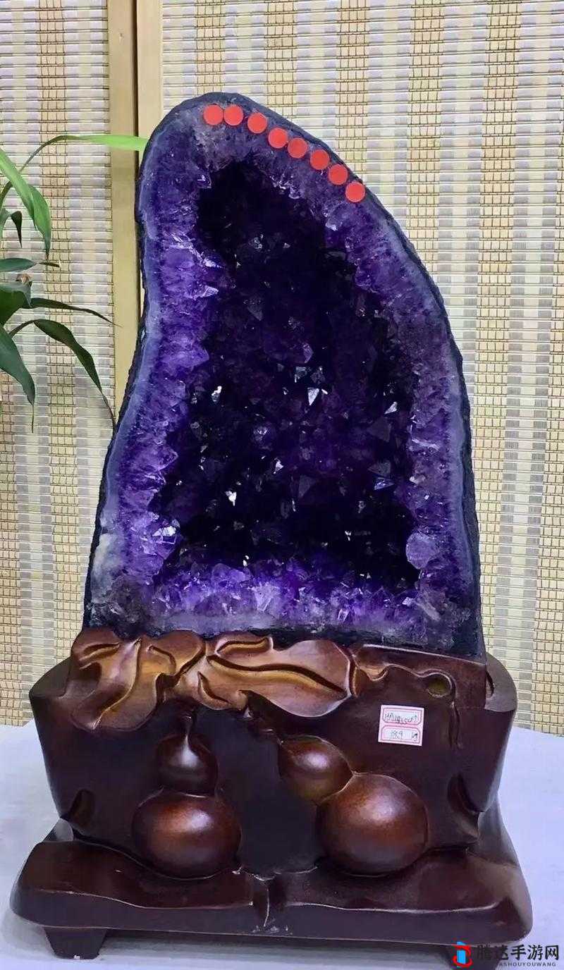潜水员戴夫紫水晶矿石位置介绍