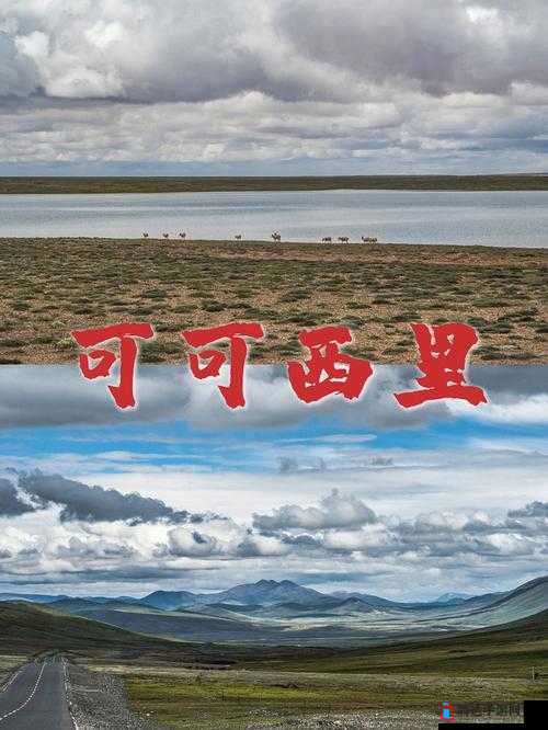 99 无人区码一码二码三码四码,带你探索未知的神秘世界