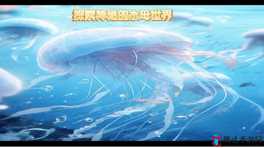 歧路旅人2蓝水母捕捉指南,探寻神秘水域的珍稀生物