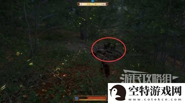 天国拯救2图文攻略大全